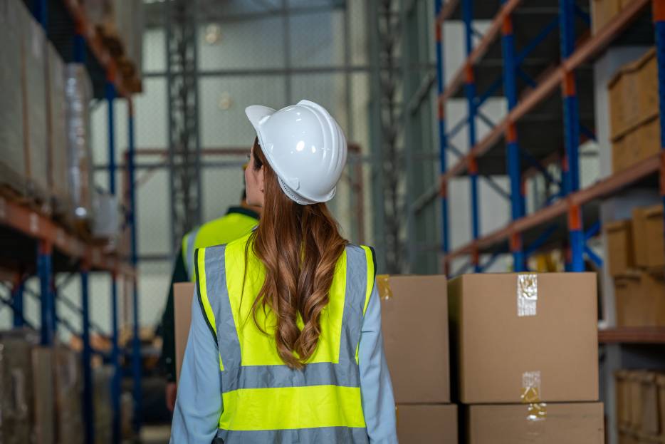 profesional en importaciones y exportaciones